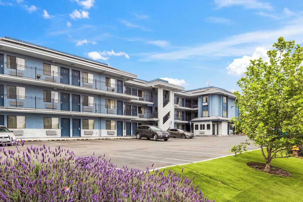 Executive Inn Hotel - photo 14