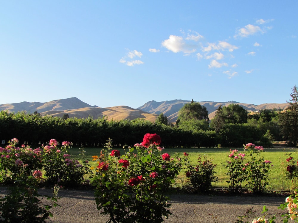 Warm Springs Inn & Winery - photo 47