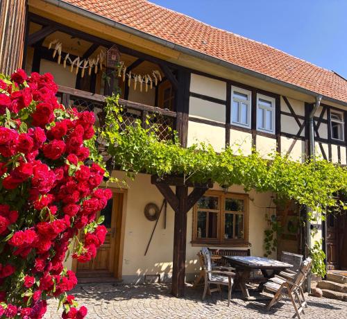Fachwerkhaus mit rustikalem Weinkeller und Garten ganze Unterkunft gute Lage pet-friendly hotel Laucha