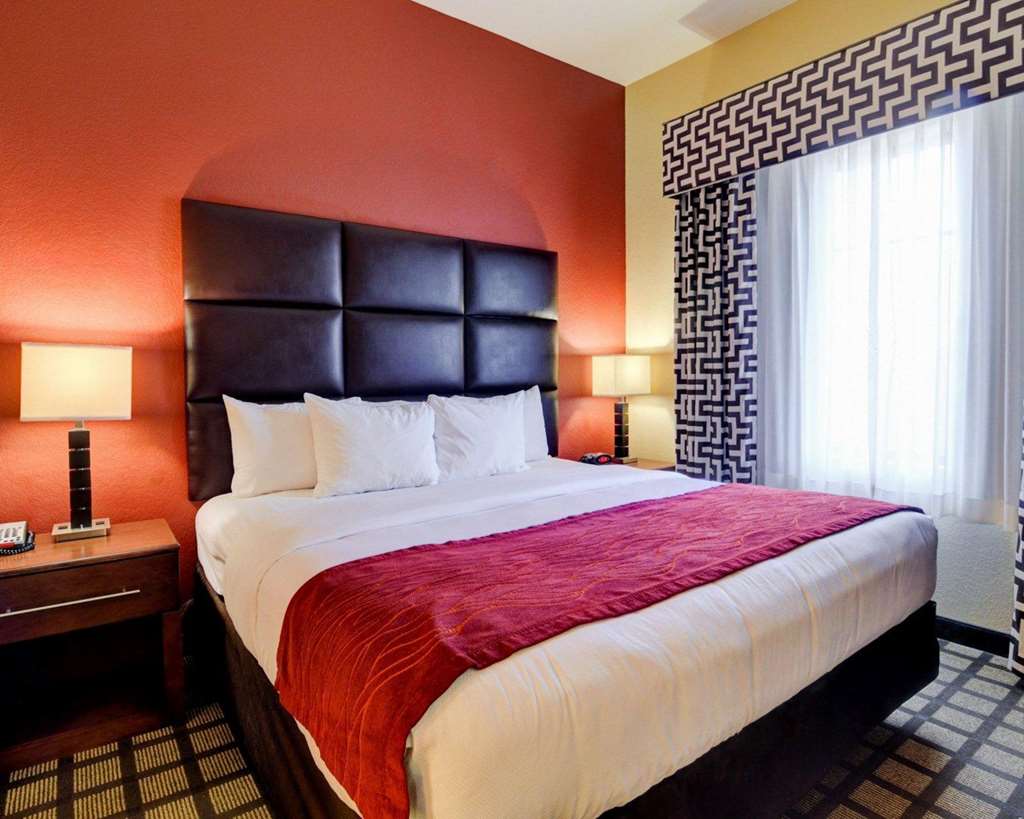 Comfort Inn & Suites Fort Smith I 540 - photo 42