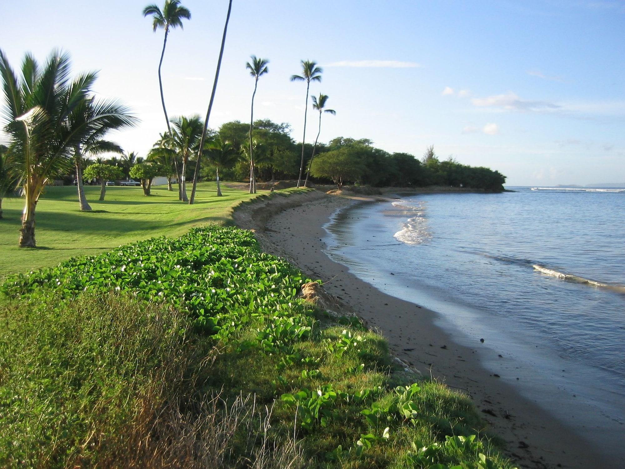 Maui Sunset - photo 27