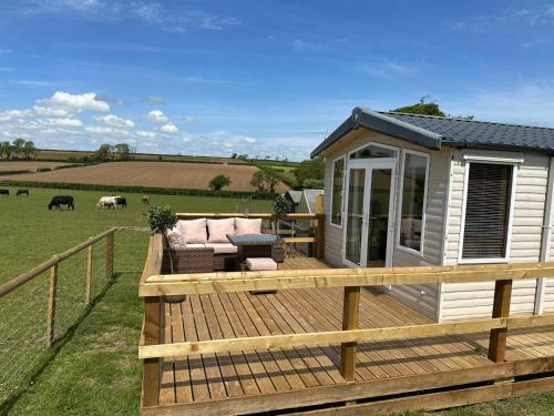 Paddock view - carbon neutral hotel in Tenby