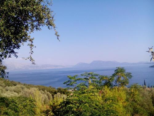 Ellenas studios - carbon neutral hotel in Lefkada