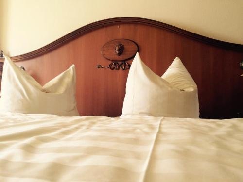 Hotel Goldner Löwe — Bad Koestritz — photo 4