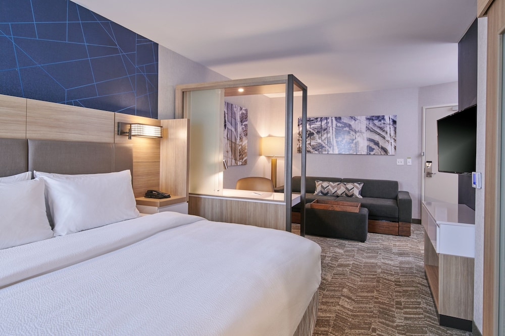 SpringHill Suites by Marriott Detroit Dearborn - photo 5