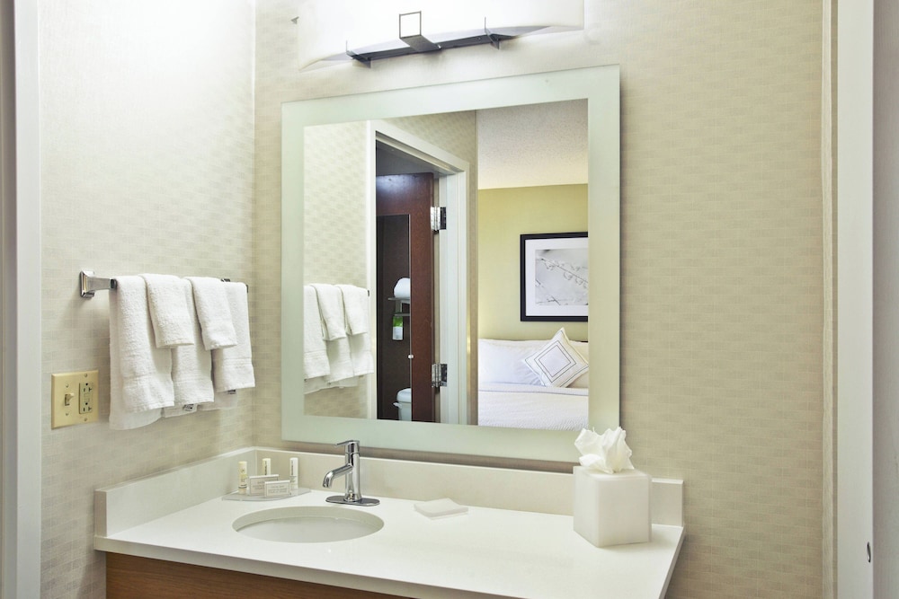 Springhill Suites by Marriott Chicago Elmhurst Oakbrook Area - photo 20