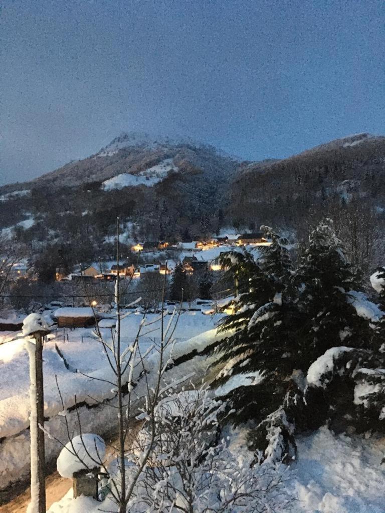 Monette 1 — Mont-Dore — photo 5