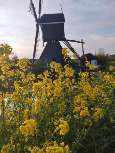 Slapen Bij De Molenaar — Leerdam