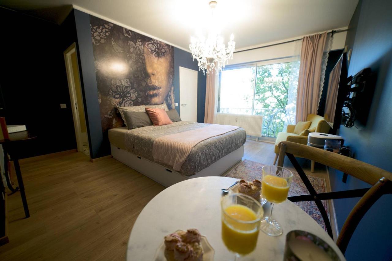 Le Boudoir Centre Ville Parking Couvert Inclus — Mulhouse