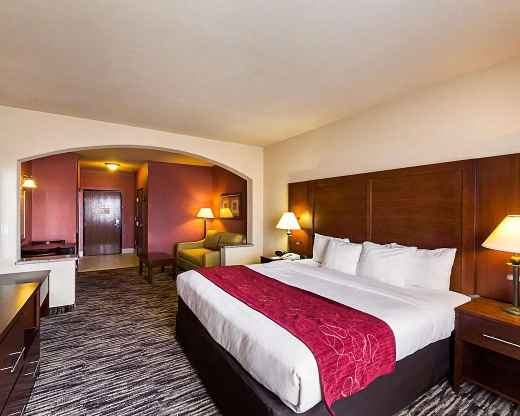 Comfort Suites McAllen Airport and La Plaza Mall - photo 11