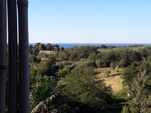 Ama — 4-Star Luxury Hotel in Fano, Italy