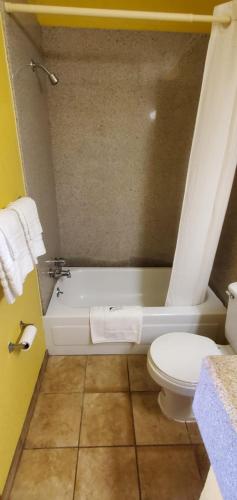Deluxe Inn Jasper - photo 8