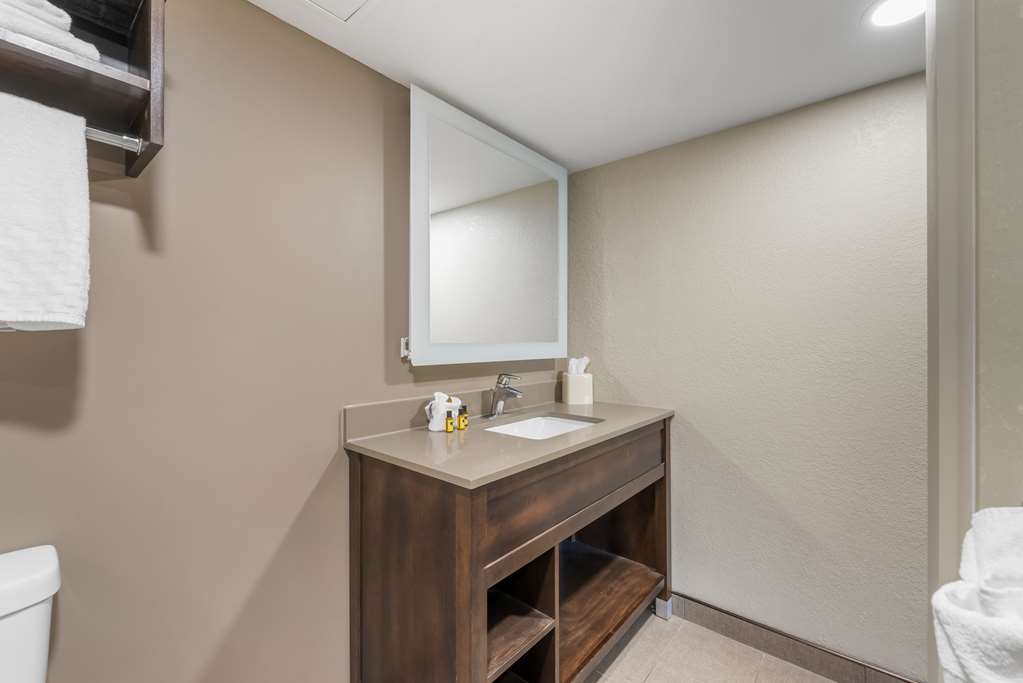 Best Western Plus Ramkota Hotel - photo 30