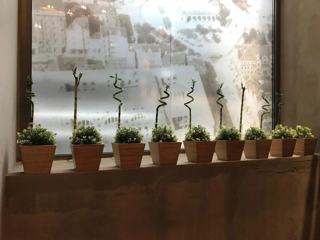 Hotel 36 - carbon neutral hotel in Sofia