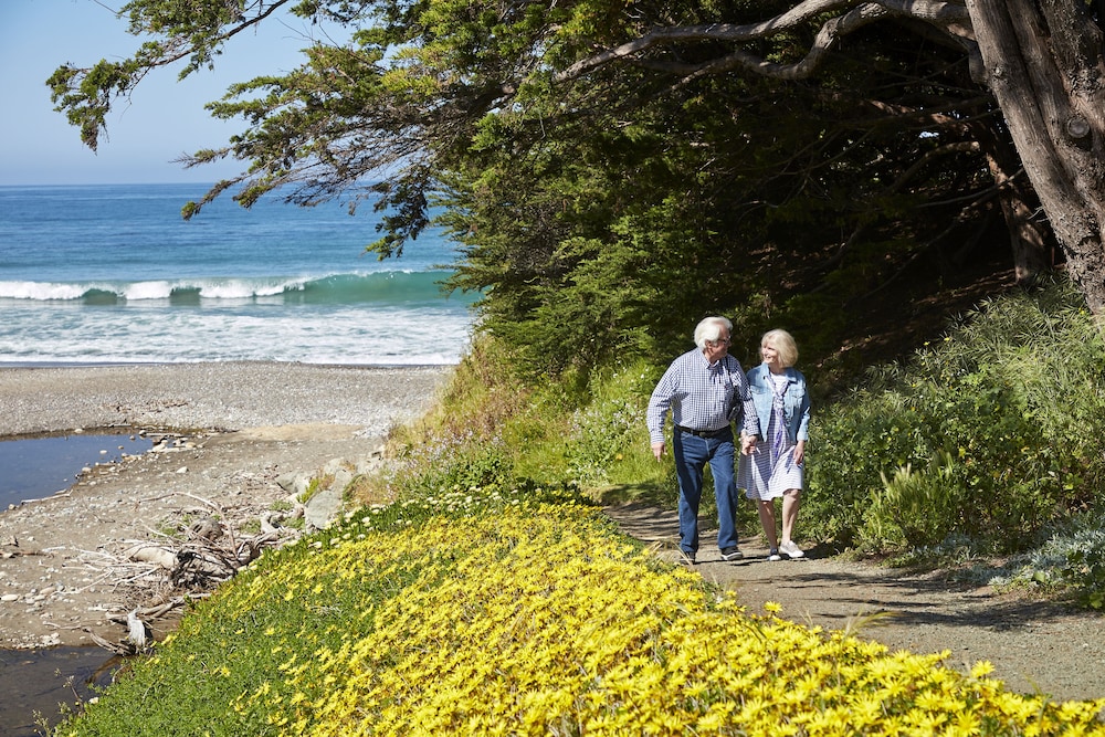 Cavalier Oceanfront Resort - photo 48