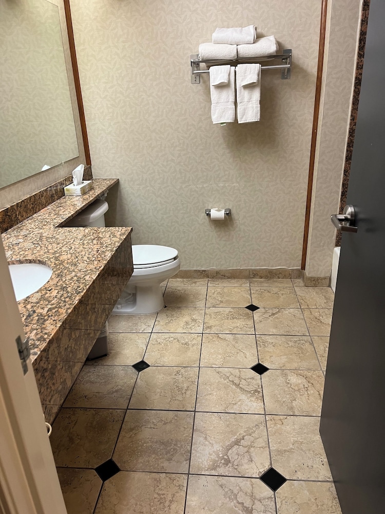 Mineral Palace Hotel & Casino - photo 28