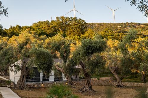 Vikanto Stay in Ulcinj, Montenegro