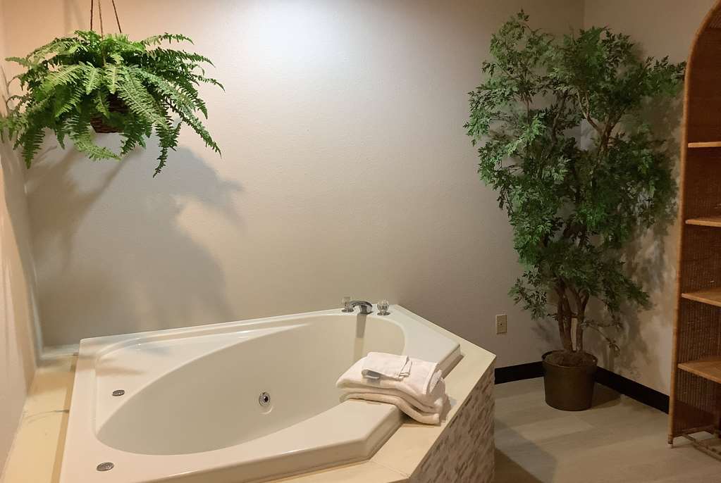Days Inn by Wyndham Kingdom City - photo 24