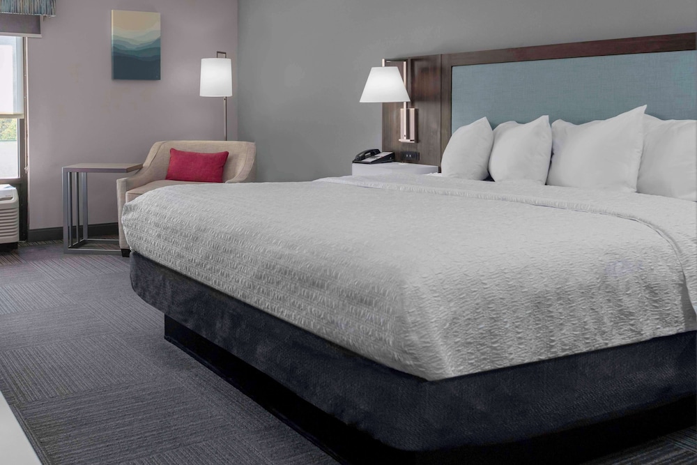 Hampton Inn Conyers - photo 21