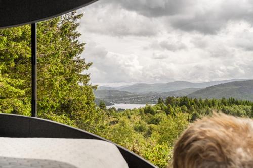 Birdbox Bergen — Bergen — photo 3