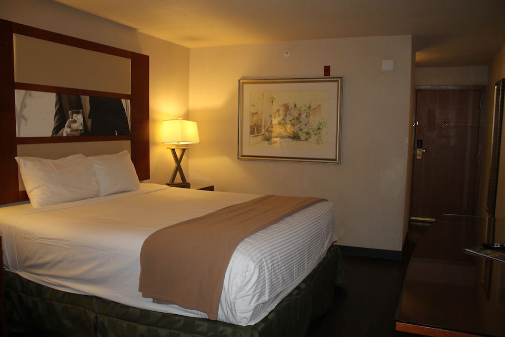 Sunrise Inn Hotel - photo 21