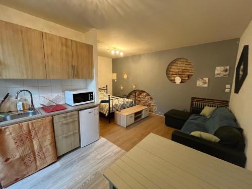 Grand Studio Sur Cour Privative — hotel in Muret