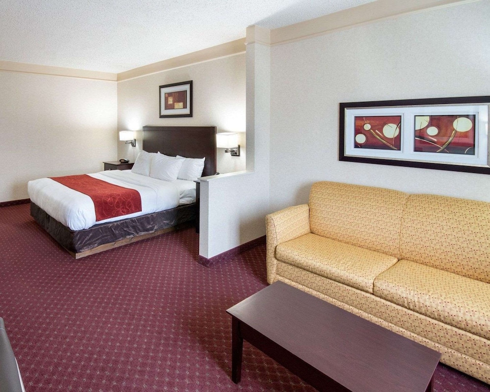Comfort Suites Parkersburg South - photo 28