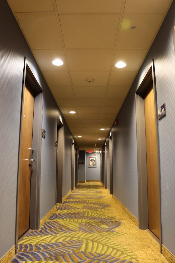 Prime Hotel Claremont - photo 28