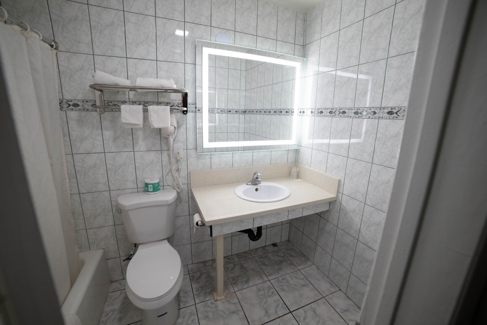 Artesia Motor Inn - photo 16