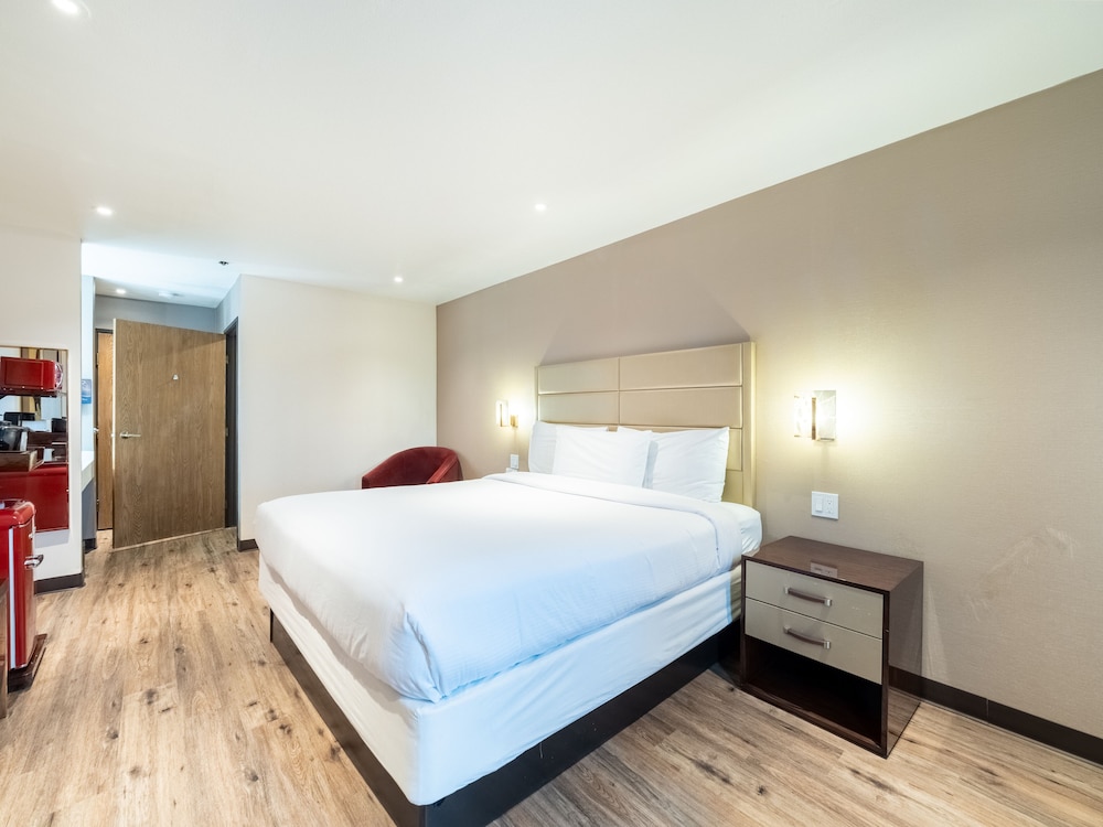 Baymont by Wyndham Anderson - photo 4