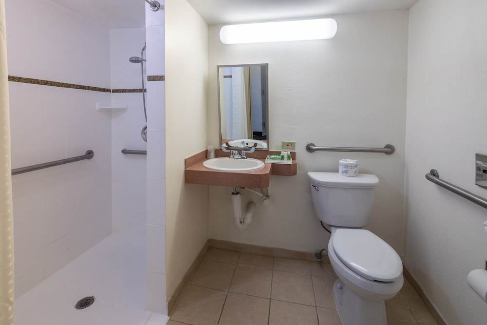 Holiday Inn Port of Miami Downtown Hotel - photo 35