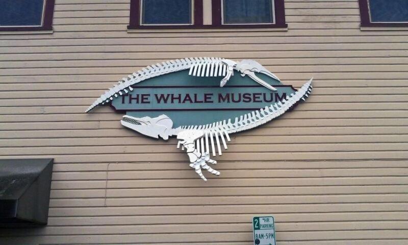 The Orca Inn - photo 8