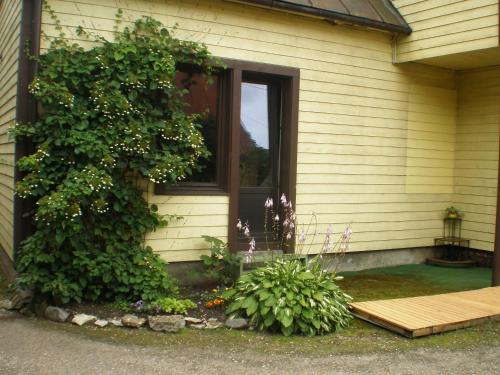 Jannseni Accommodation — hotel in Paernu
