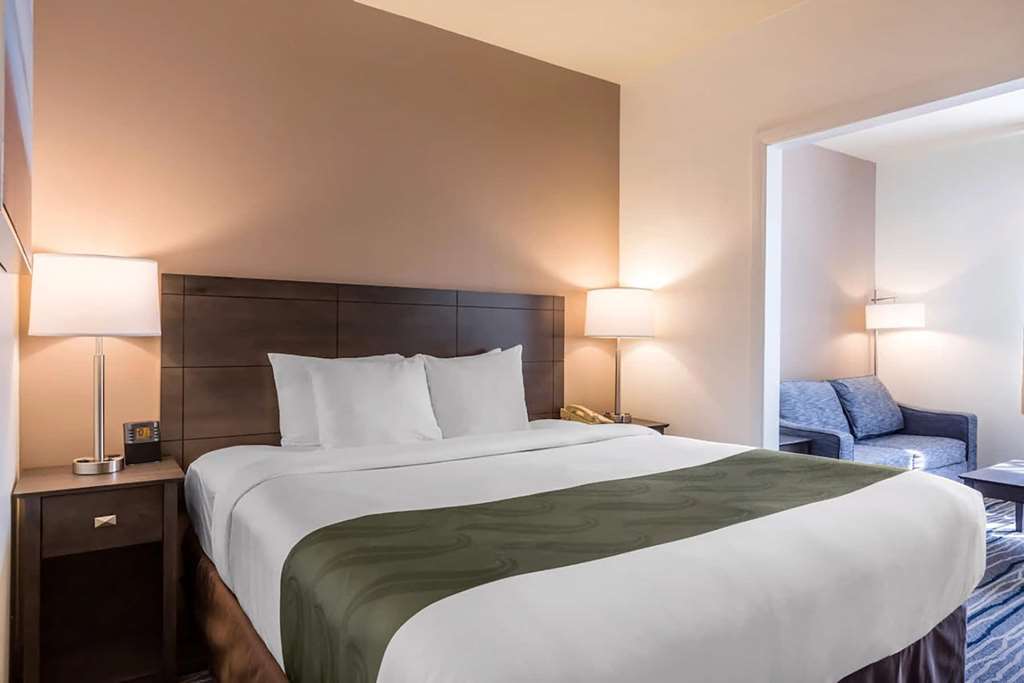 Ramada Suites by Wyndham San Diego - photo 12