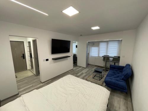 Smart Studio 21743898 — Petrila