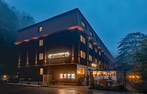 Waldhotel Harz Ilsenburg - carbon neutral hotel in Ilsenburg