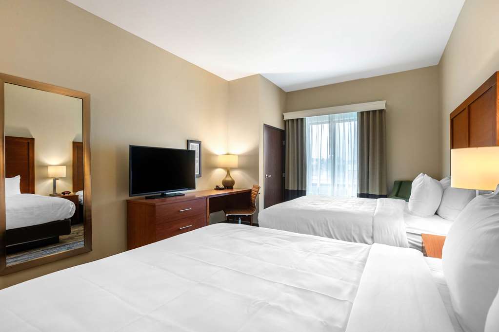 Comfort Inn and Suites Ames near ISU Campus - photo 12