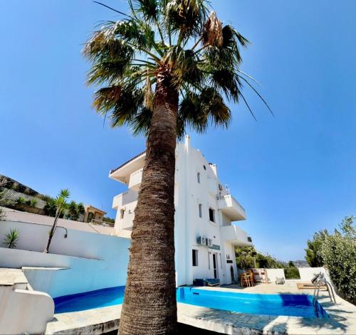 2 bedroom self contained apartment and swimming pool at Palm Tree Villa — 4-Star Luxury Hotel in Anavyssos, Greece