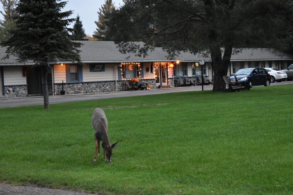 Country Club Motel - photo 19