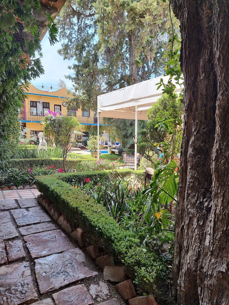 Garden view
