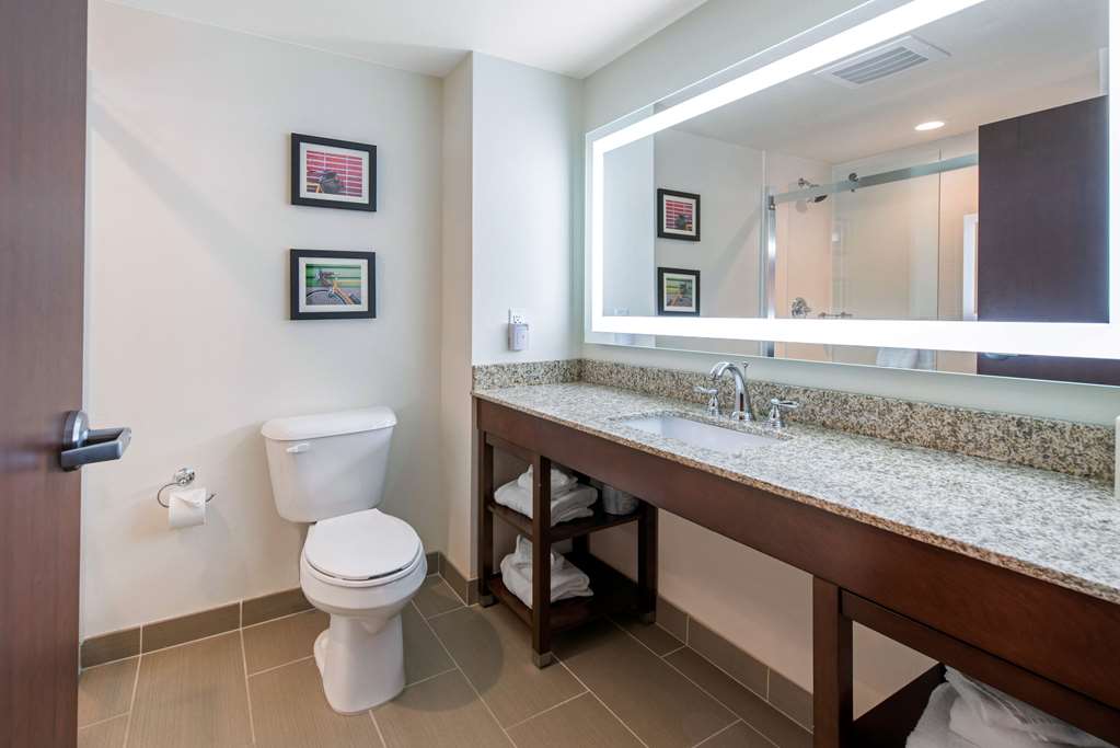 Comfort Suites Denver International Airport - photo 9