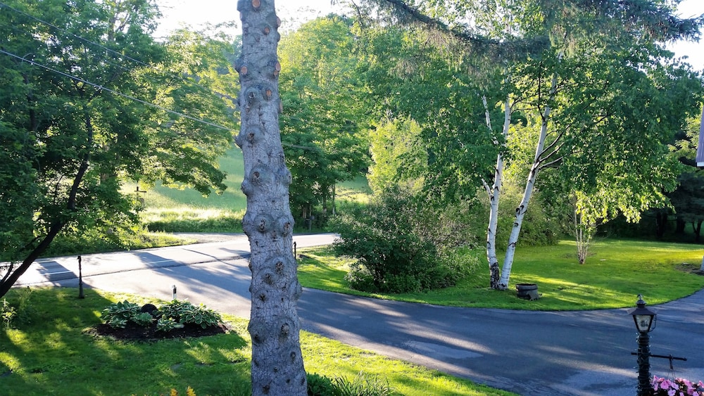 Inn at Clearwater Pond - photo 96
