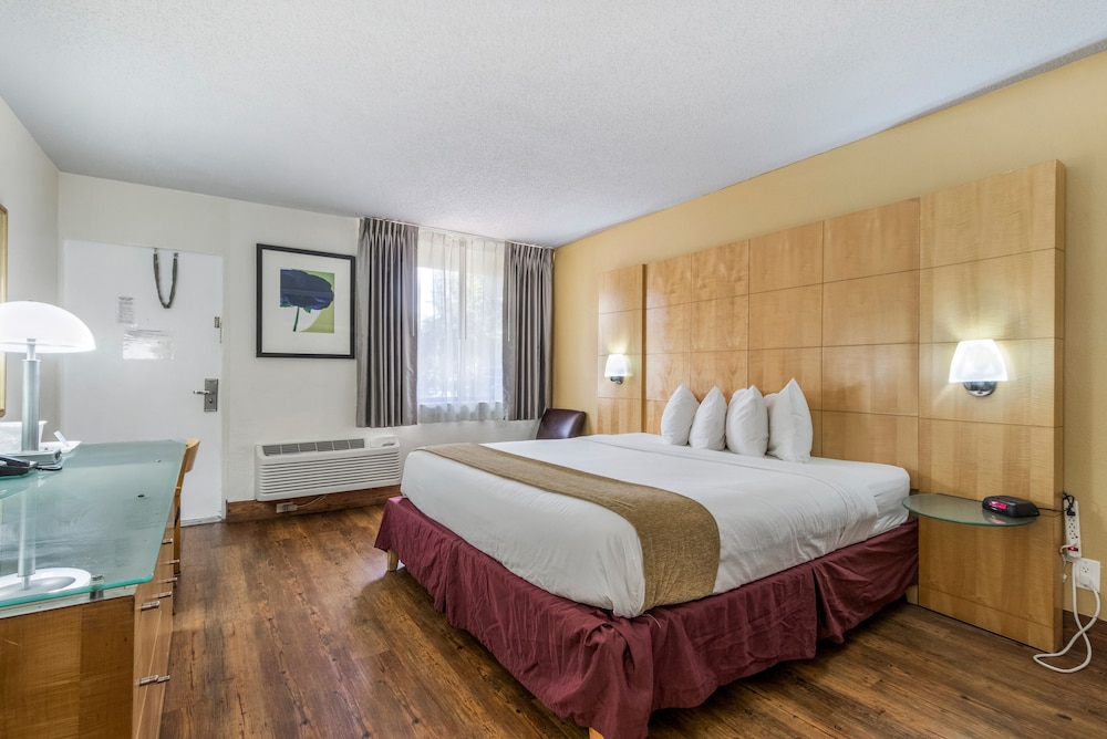 Ocean Reef Hotel - photo 11
