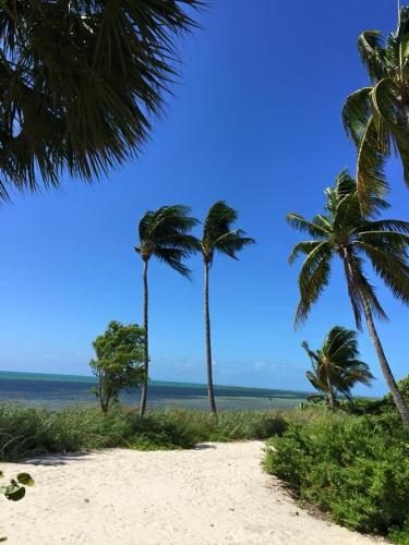 Ocean Hideaway on the Atlantic - photo 37