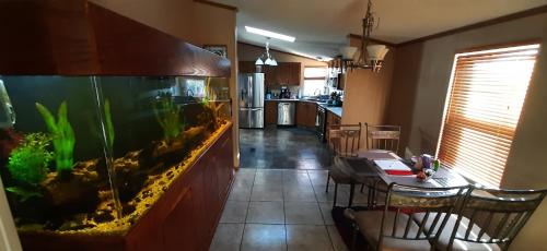 Private Pet Friendly Home Near Exotic Deer Farm Close to Pigeon Forge Gatlinburg TN — 4-Star Luxury Hotel in Sevierville, United States