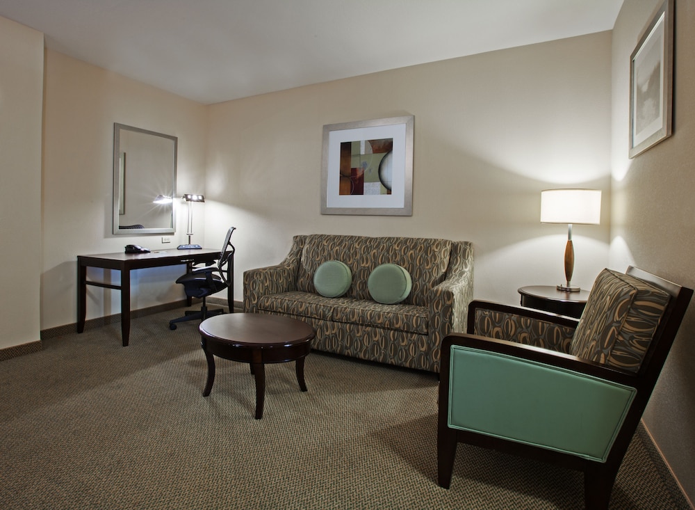 Hilton Garden Inn South Padre Island Beachfront - photo 8