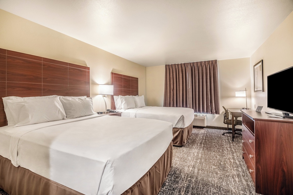 Cobblestone Inn & Suites Kermit - photo 15
