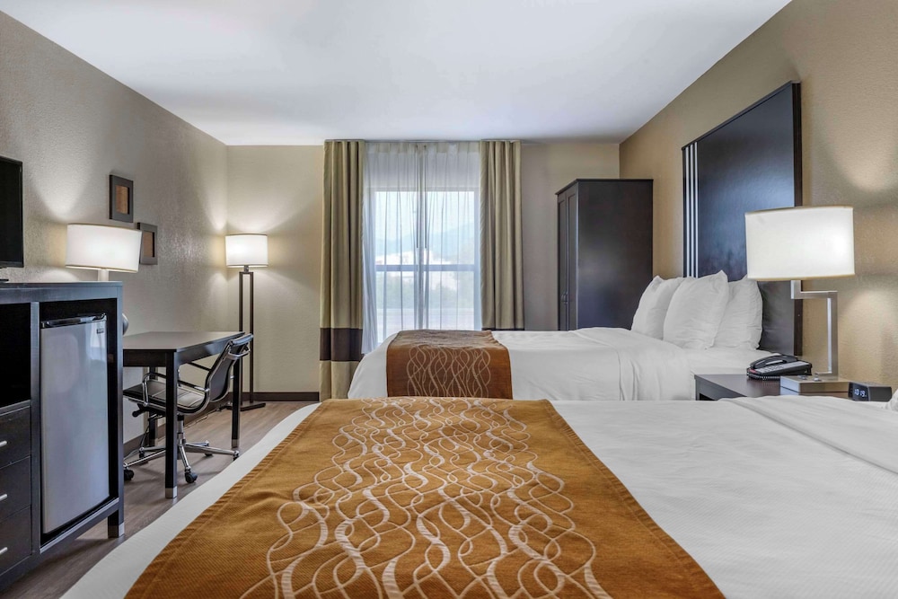 Comfort Inn Marion near Downtown & Blue Ridge PKWY - photo 22