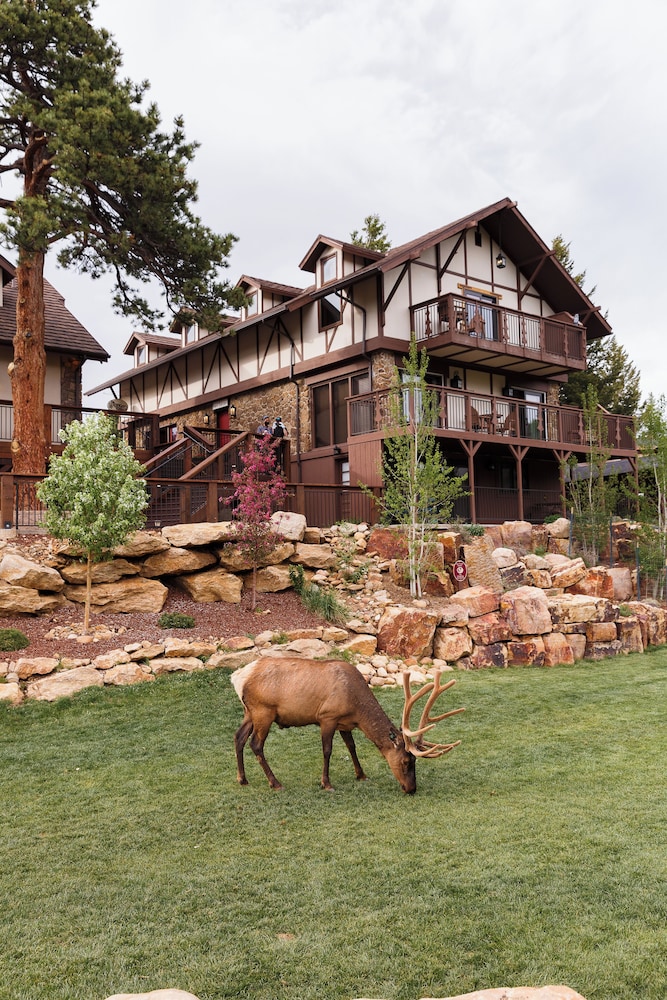The Landing at Estes Park - photo 103