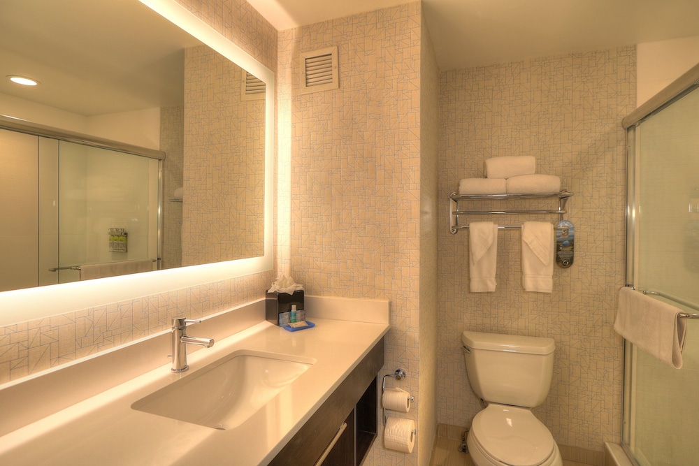 Holiday Inn Express Hotel & Suites Mobile Saraland by IHG - photo 42